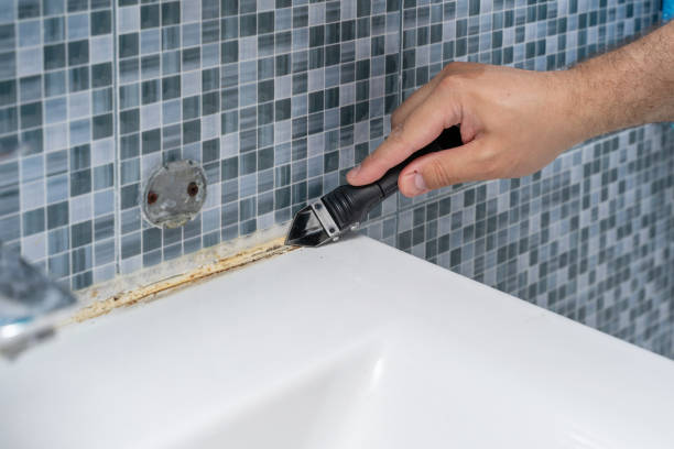 Certified Mold Removal in Lake Ridge, VA