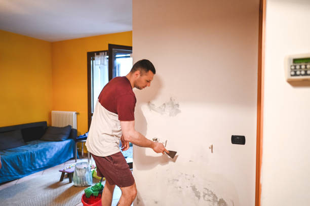 Best Residential Mold Removal  in Lake Ridge, VA